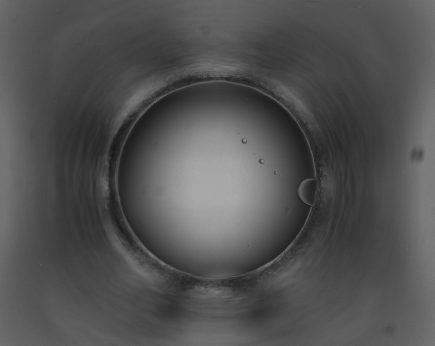X0000093570582200710221445
