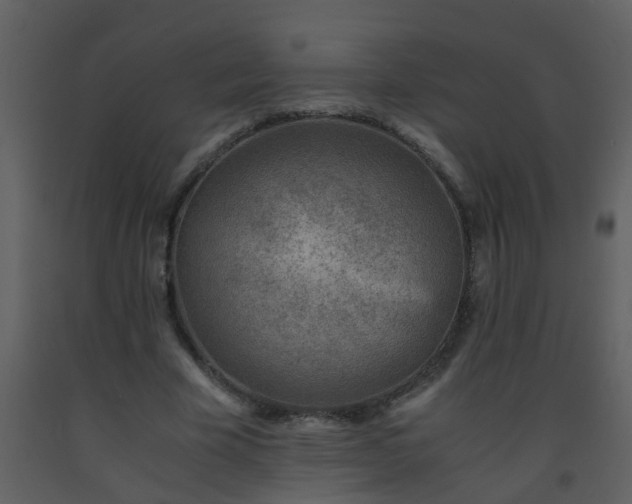 X0000093570585200710221445