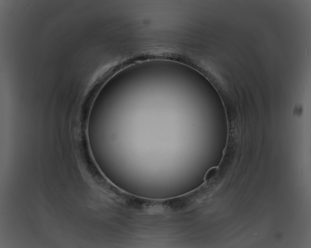 X0000093570587200710221445