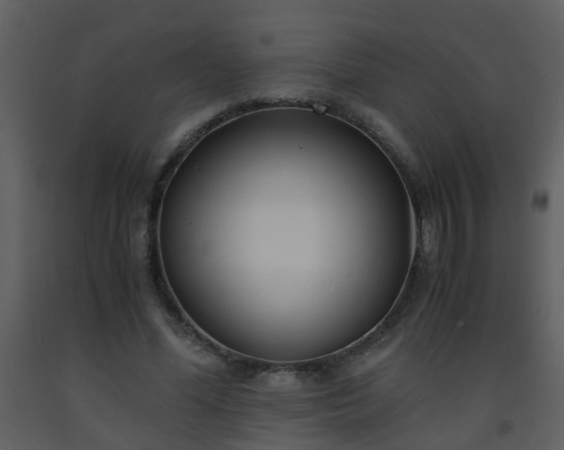 X0000093570588200710221445