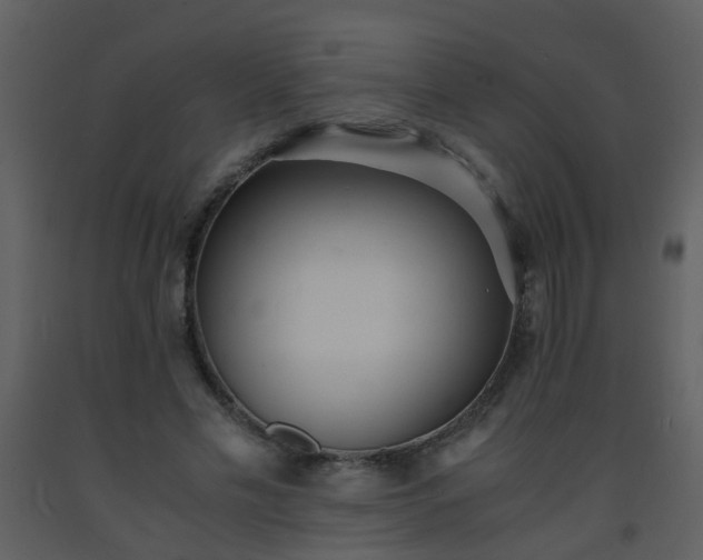 X0000093570589200710221445
