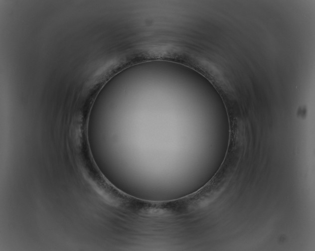 X0000093570590200710221445