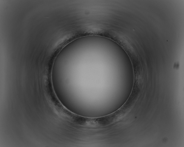 X0000093570591200710221445