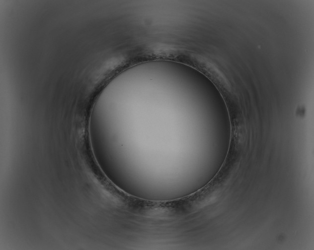X0000093570593200710221445