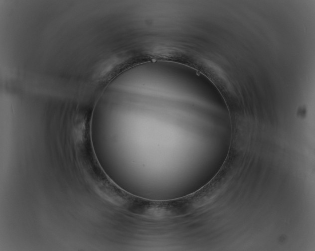 X0000093570596200710221445