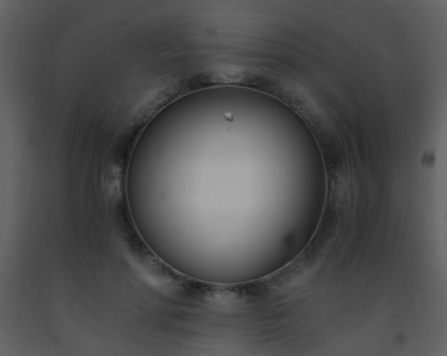 X0000093570598200710221445