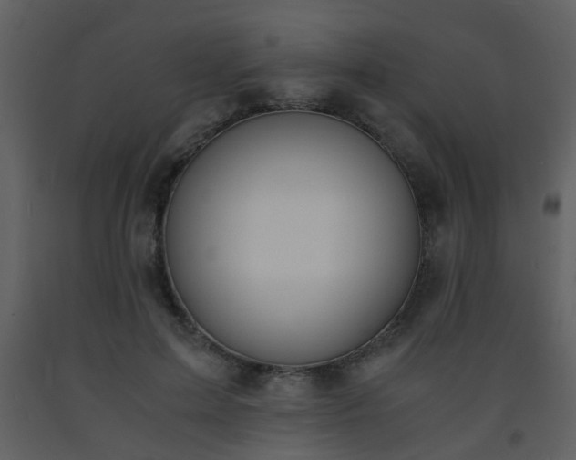 X0000093570599200710221445