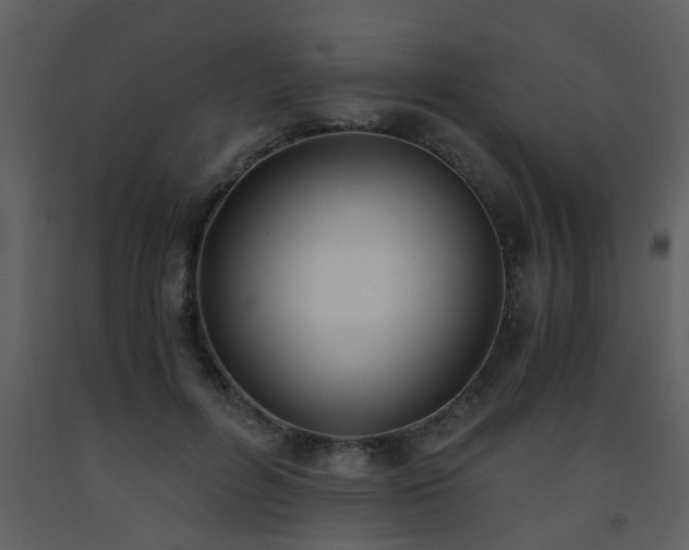 X0000093570600200710221445