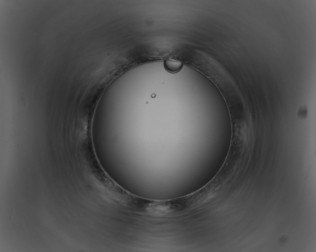 X0000093570602200710221445