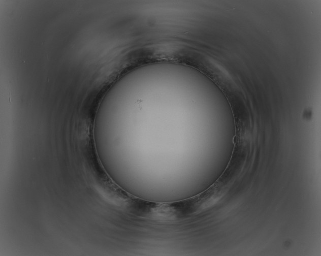 X0000093570603200710221445