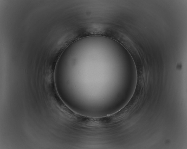 X0000093570604200710221445