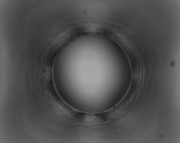 X0000093570605200710221445