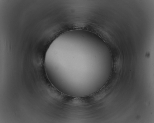 X0000093570608200710221445
