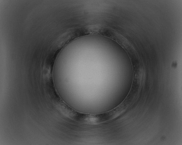 X0000093570610200710221445