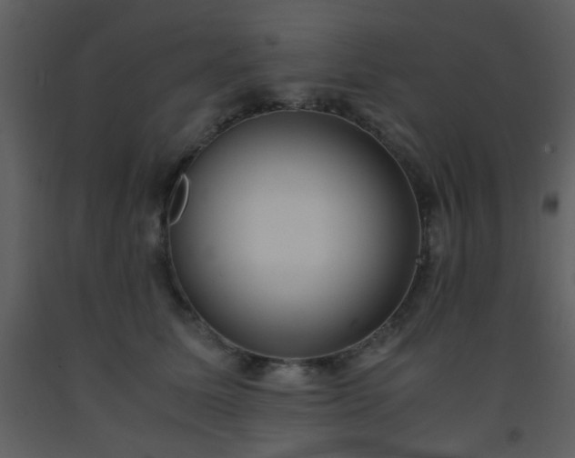 X0000093570611200710221445
