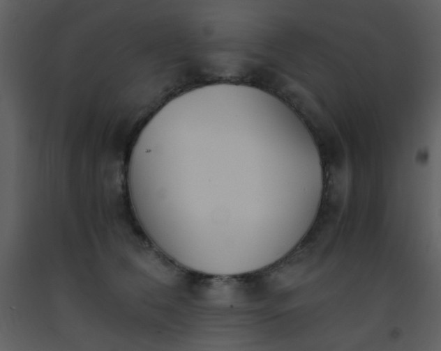 X0000093570612200710221445