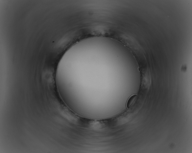 X0000093570616200710221445