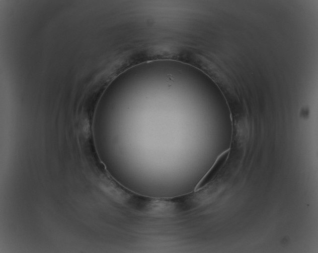 X0000093570617200710221445