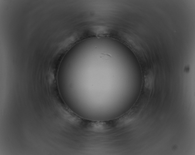 X0000093570618200710221445