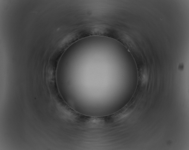 X0000093570619200710221445