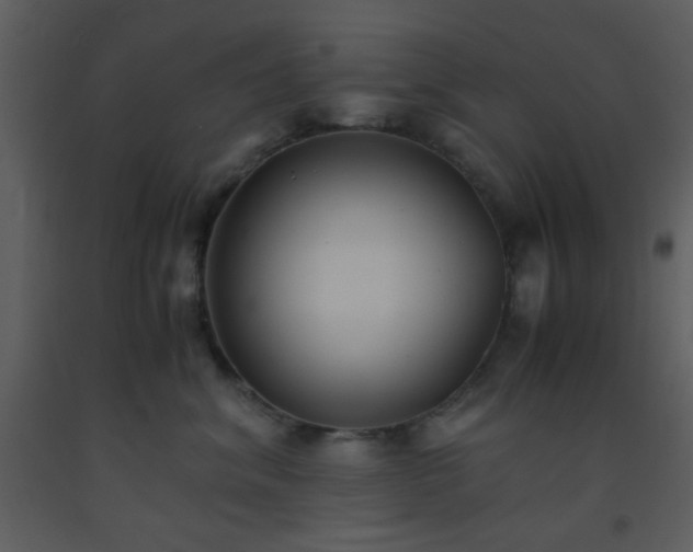 X0000093570620200710221445