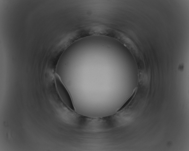 X0000093570621200710221445