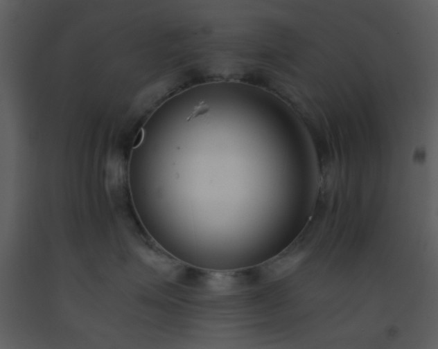 X0000093570623200710221445