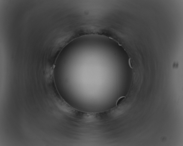 X0000093570624200710221445