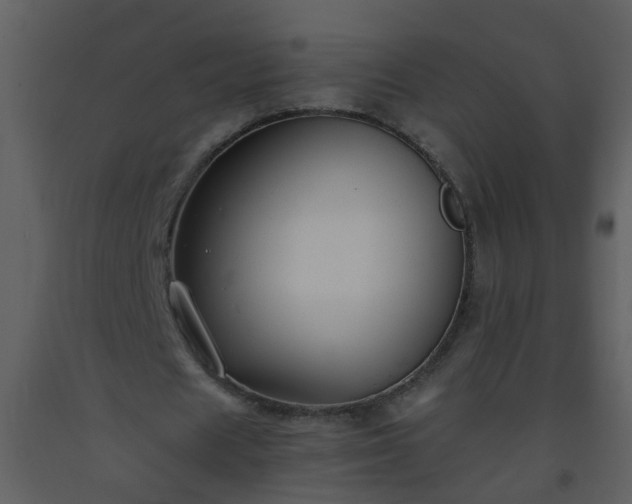 X0000093570625200710221444