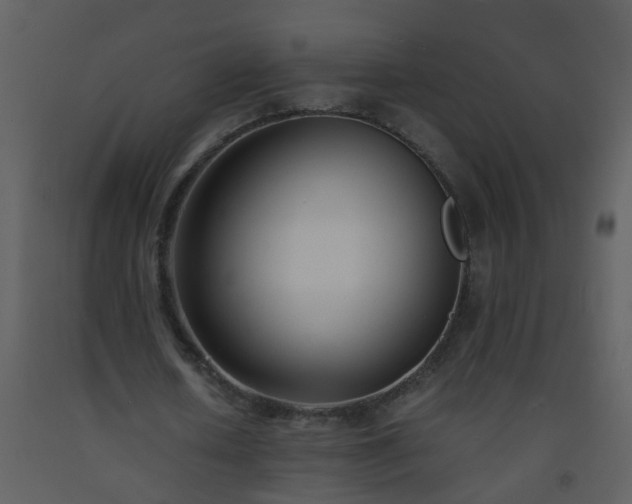 X0000093570626200710221444