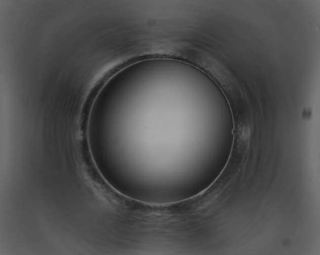 X0000093570628200710221444