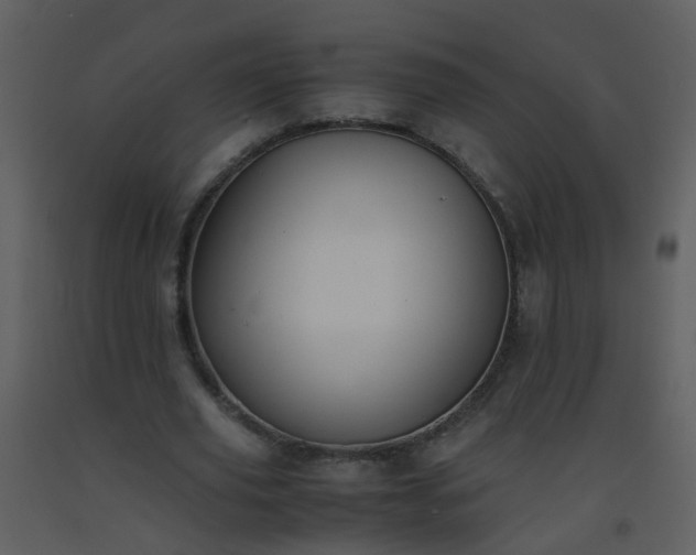 X0000093570629200710221444