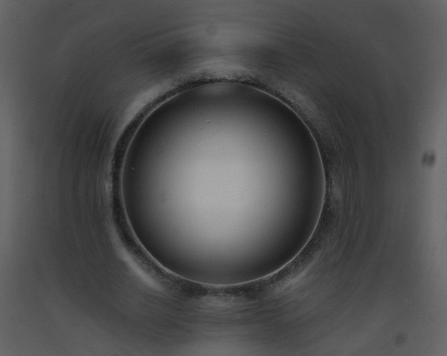 X0000093570630200710221444