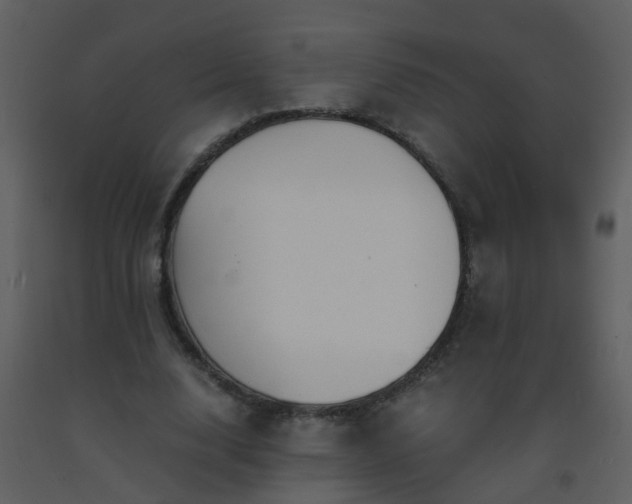 X0000093570632200710221444
