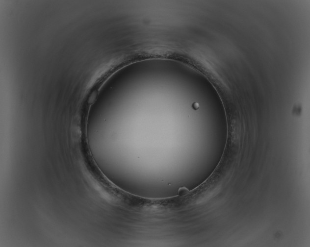 X0000093570634200710221444
