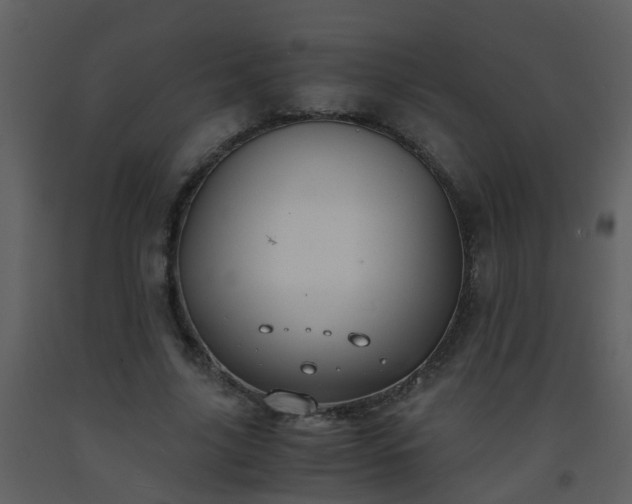X0000093570635200710221444