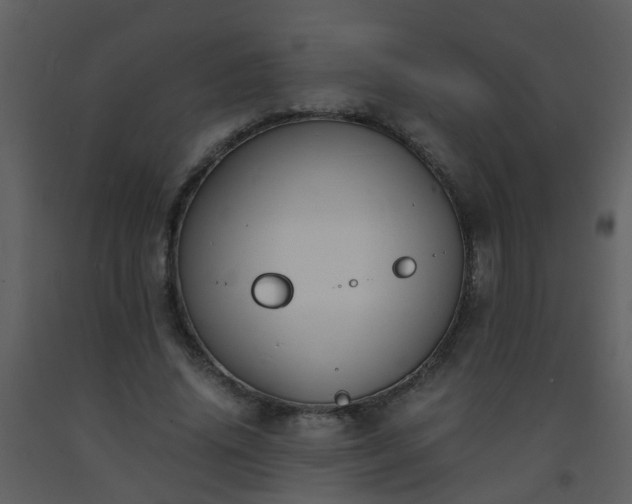 X0000093570636200710221444