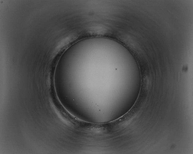 X0000093570638200710221444