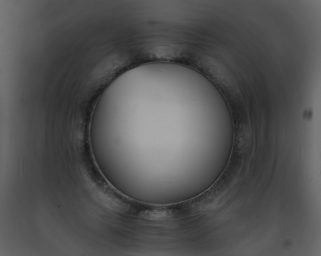 X0000093570639200710221444