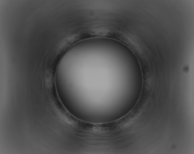 X0000093570641200710221444
