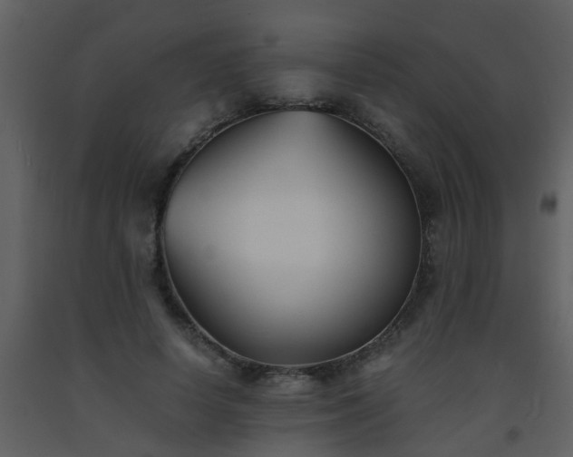 X0000093570642200710221444