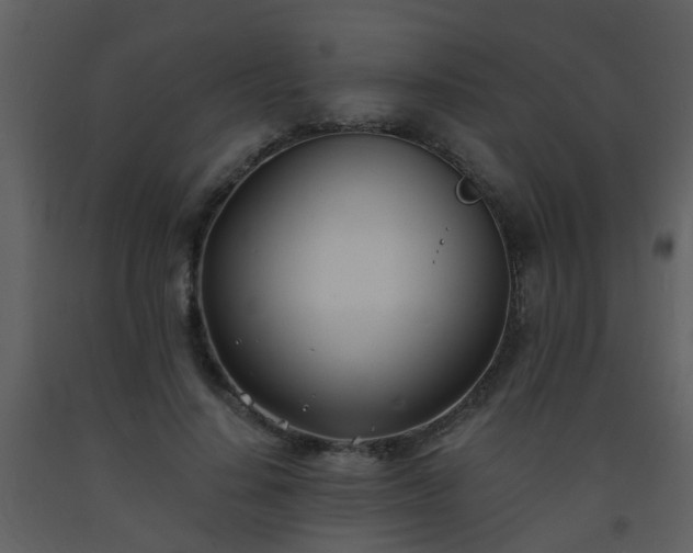 X0000093570644200710221444
