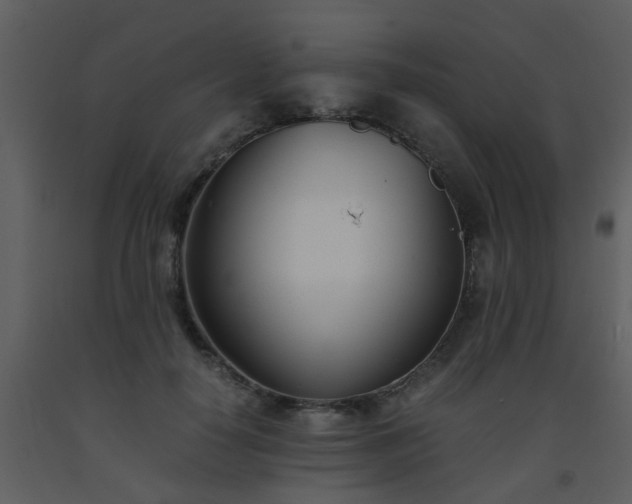 X0000093570650200710221444