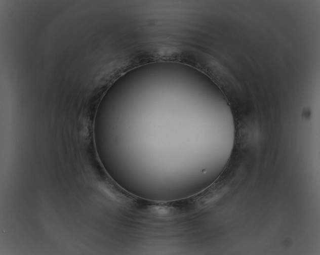 X0000093570654200710221444