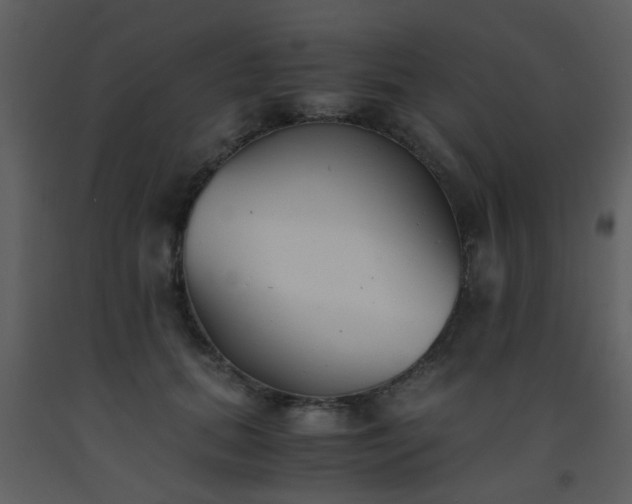 X0000093570655200710221444