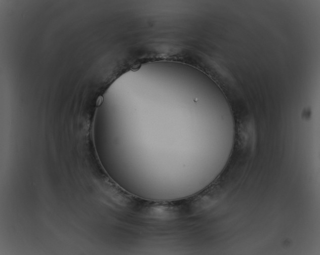 X0000093570657200710221444