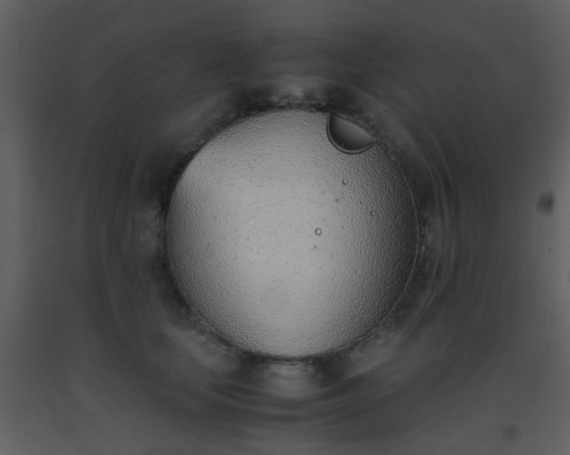 X0000093570659200710221444