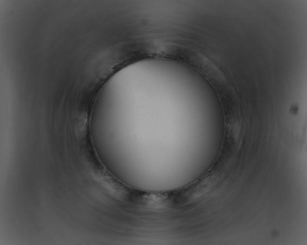 X0000093570660200710221444