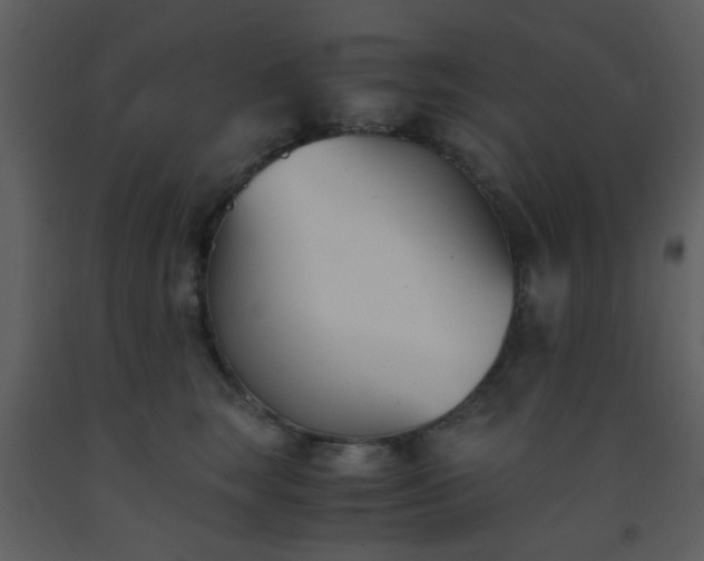 X0000093570663200710221444