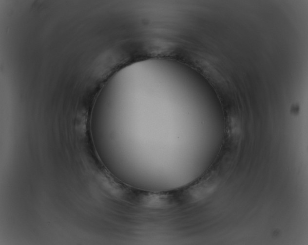 X0000093570664200710221444
